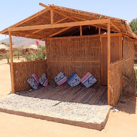 ホテル Bedouin Star タバ エクステリア 写真