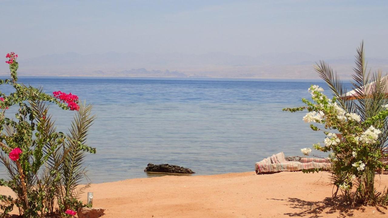 ホテル Bedouin Star タバ エクステリア 写真