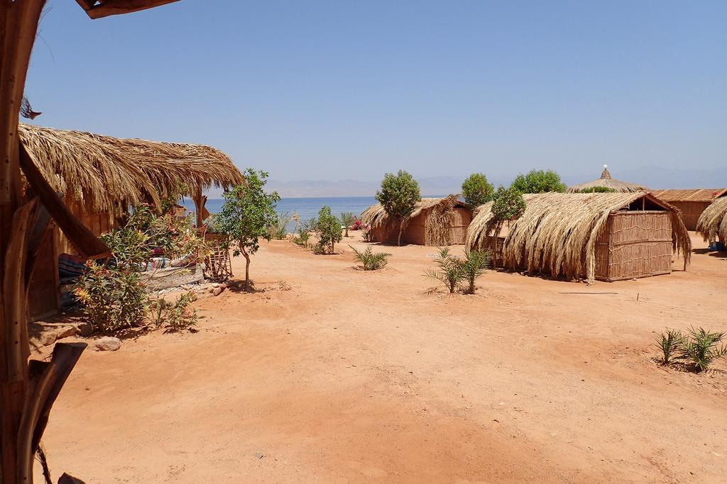ホテル Bedouin Star タバ エクステリア 写真