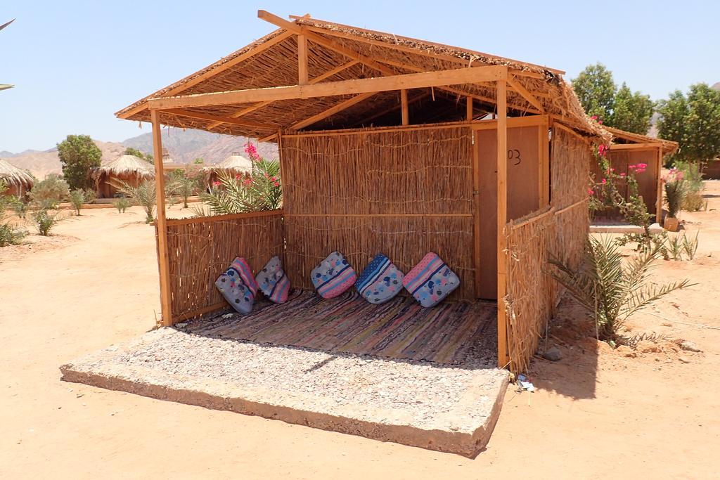 ホテル Bedouin Star タバ エクステリア 写真