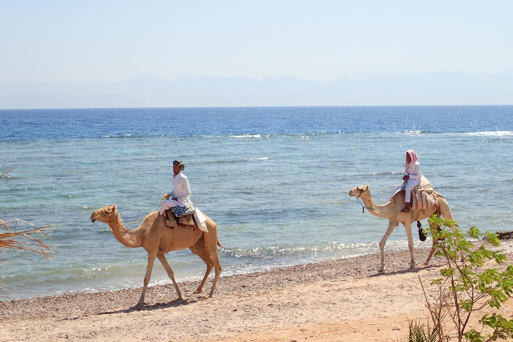 ホテル Bedouin Star タバ エクステリア 写真