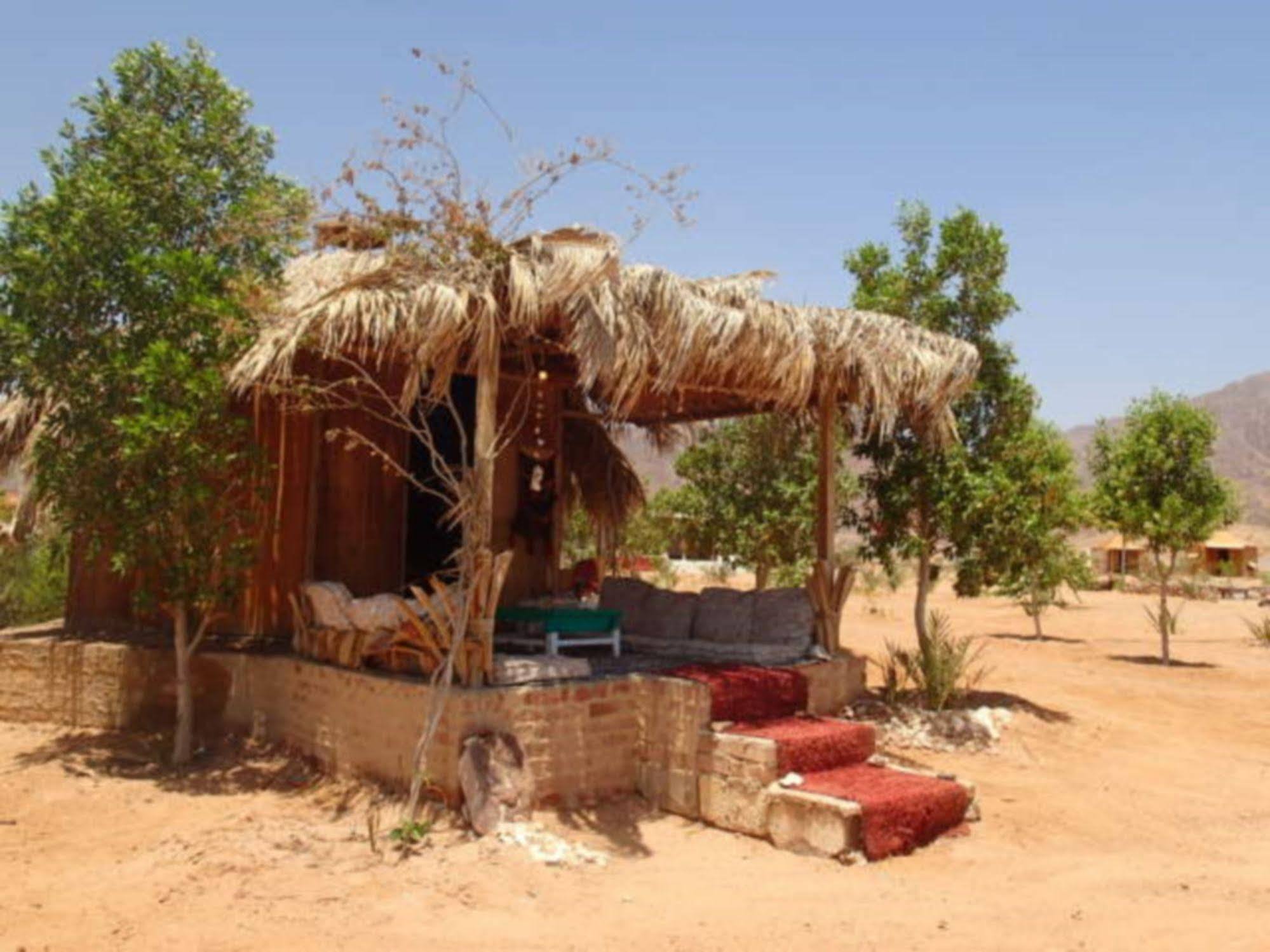 ホテル Bedouin Star タバ エクステリア 写真