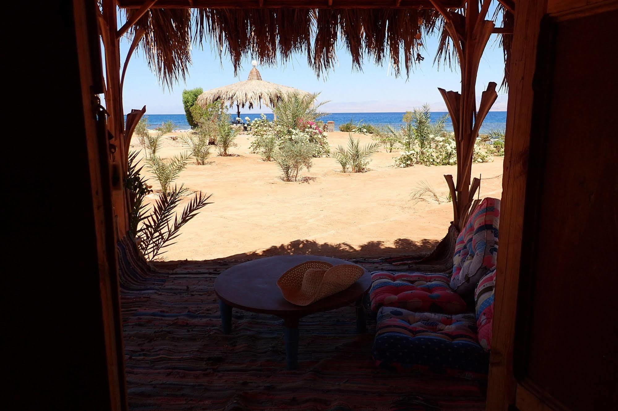 ホテル Bedouin Star タバ エクステリア 写真
