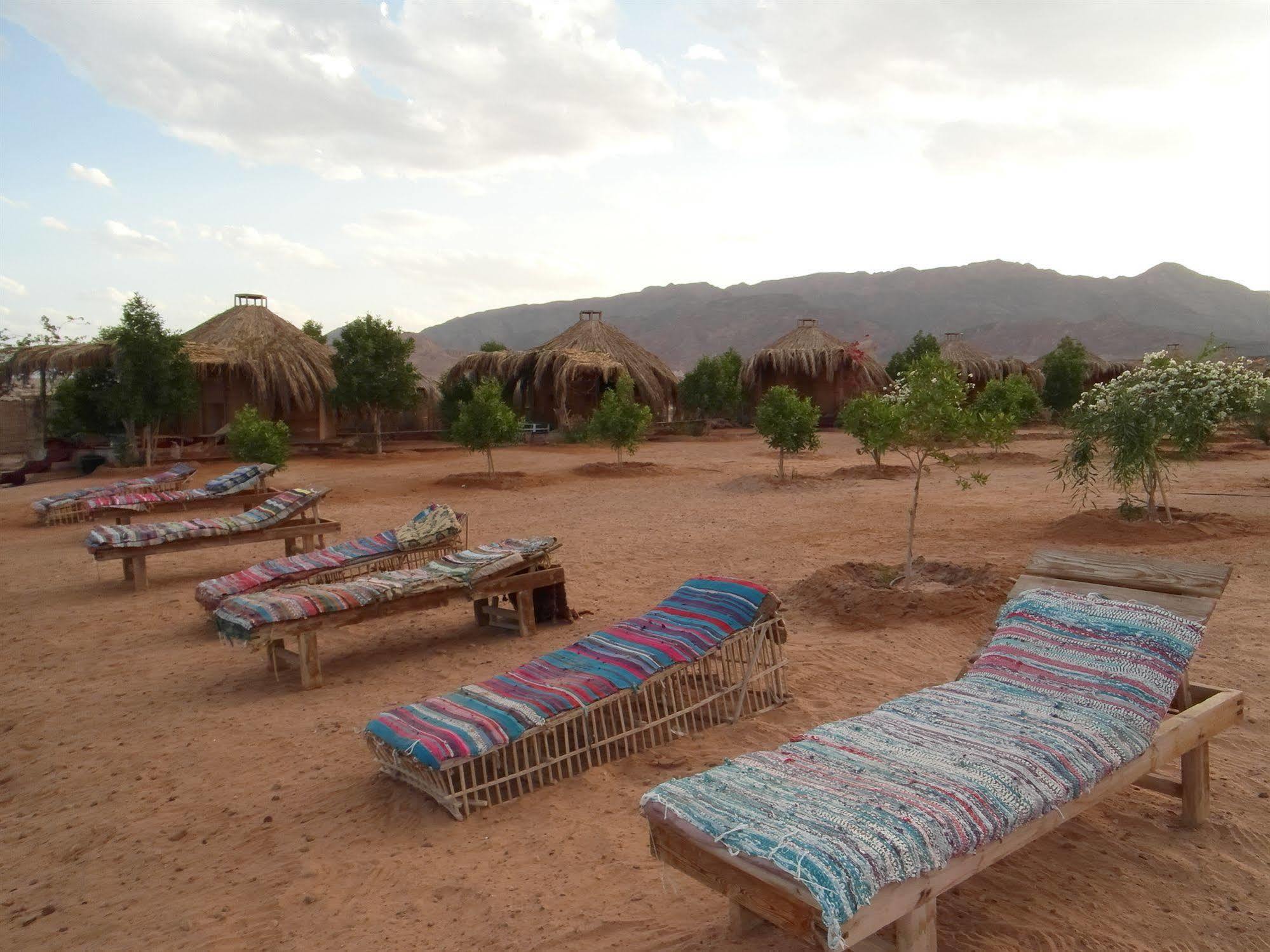 ホテル Bedouin Star タバ エクステリア 写真