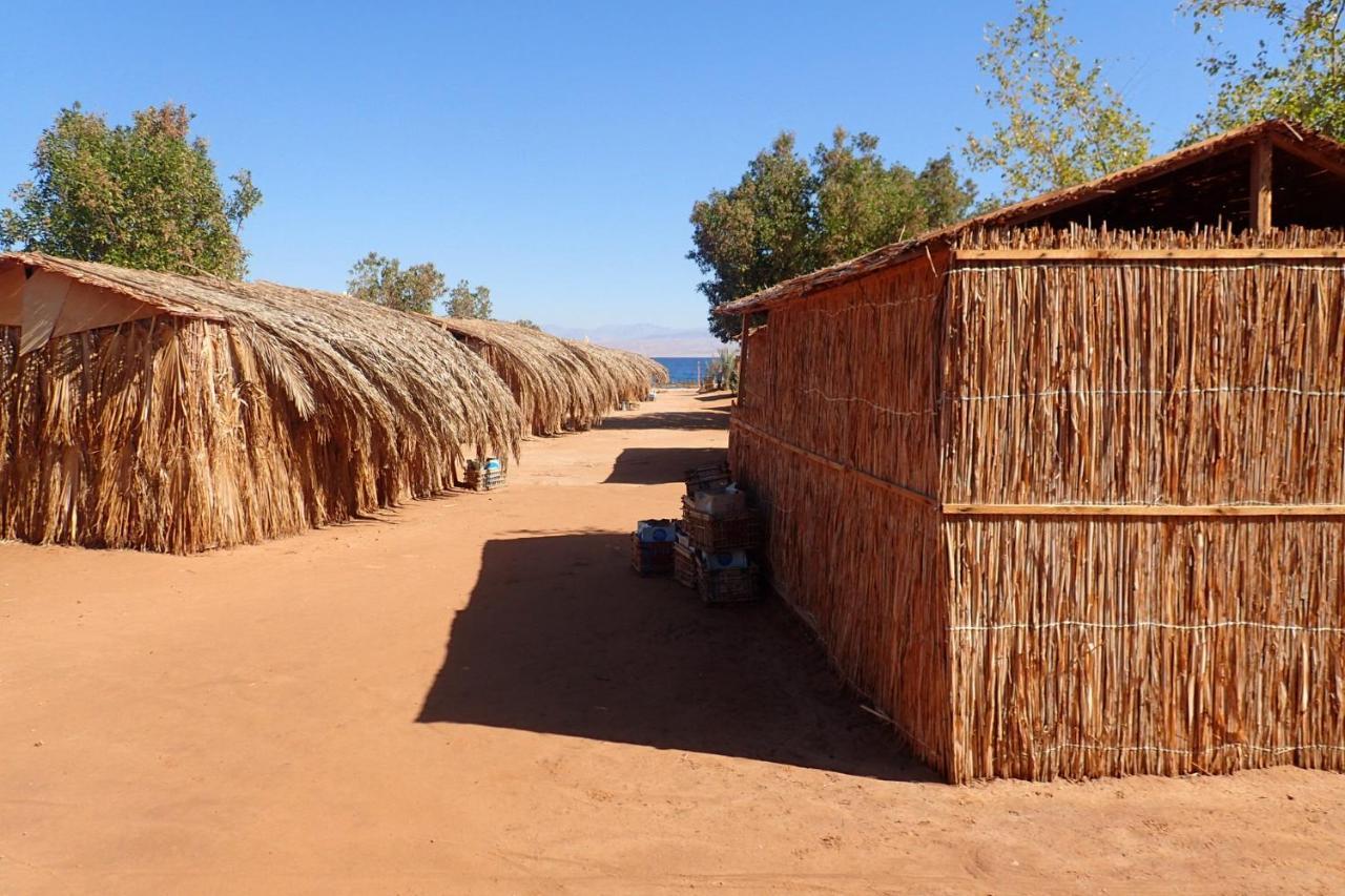 ホテル Bedouin Star タバ 部屋 写真